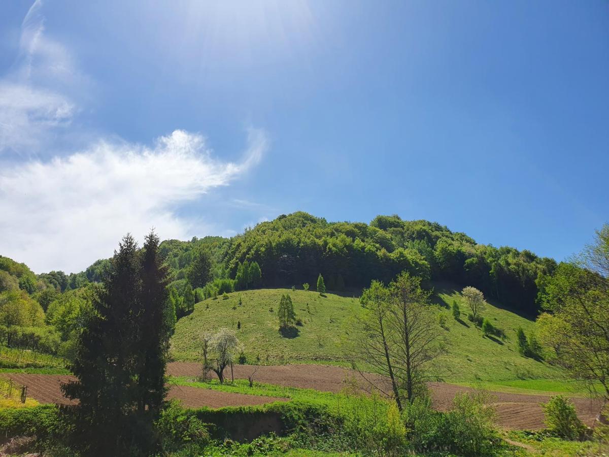 Planinsko Jutro - Brzece Centar Apartments, Kopaonik Brzeće Exterior foto